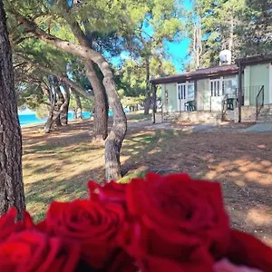 ** Ferienpark Family Pineta Kroatien